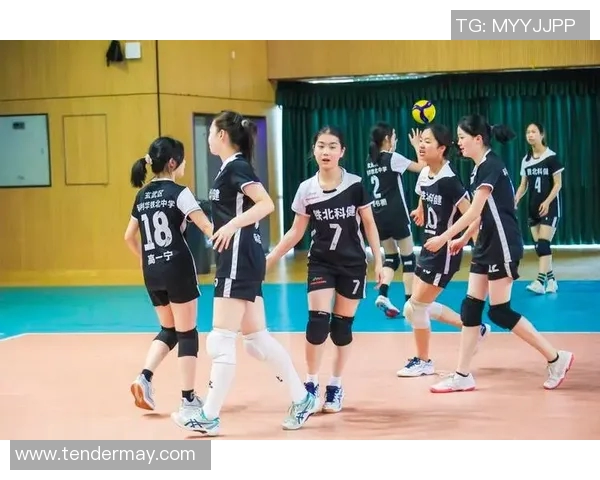 南京排球队逆袭之旅挑战赛特别报道展现团队精神与拼搏历程